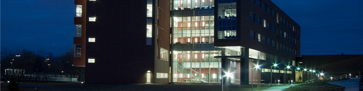 Servicio eléctrico BPU