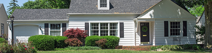 El Servicio Eléctrico del BPU